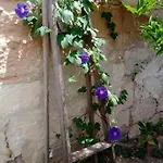 アパート C'era Volta Il Salento *