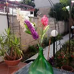 C'era Volta Il Salento アパート レッチェ