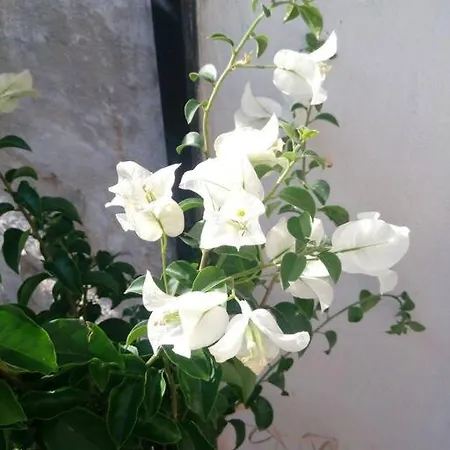 Apartment C'era Volta Il Salento