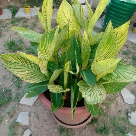 C'era Volta Il Salento شقة