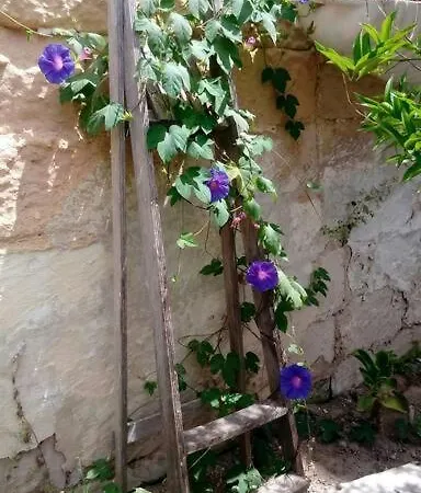 아파트 C'era Volta Il Salento *