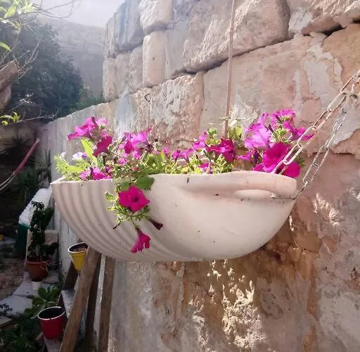 C'era Volta Il Salento Lecce