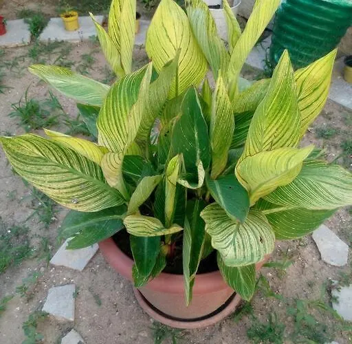 C'era Volta Il Salento Apartamento