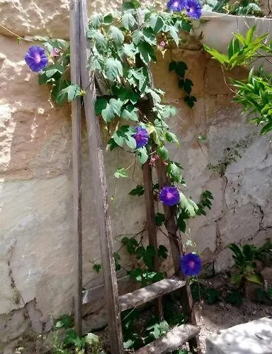 Apartamento C'era Volta Il Salento *