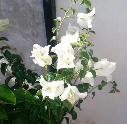 Apartamento C'era Volta Il Salento