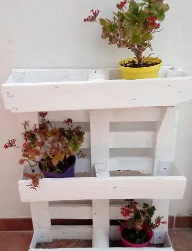 C'era Volta Il Salento * Lecce